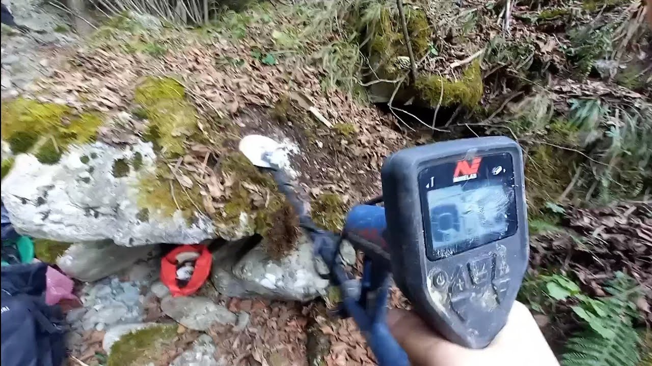 Minelab gold monster 1000