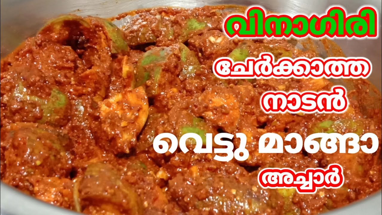 വർഷങ്ങളോളം കേടാകാത്ത വെട്ടു മാങ്ങ അച്ചാർ/Vettu Manga Achar/North Indian Style Achar/ Vinaya's World