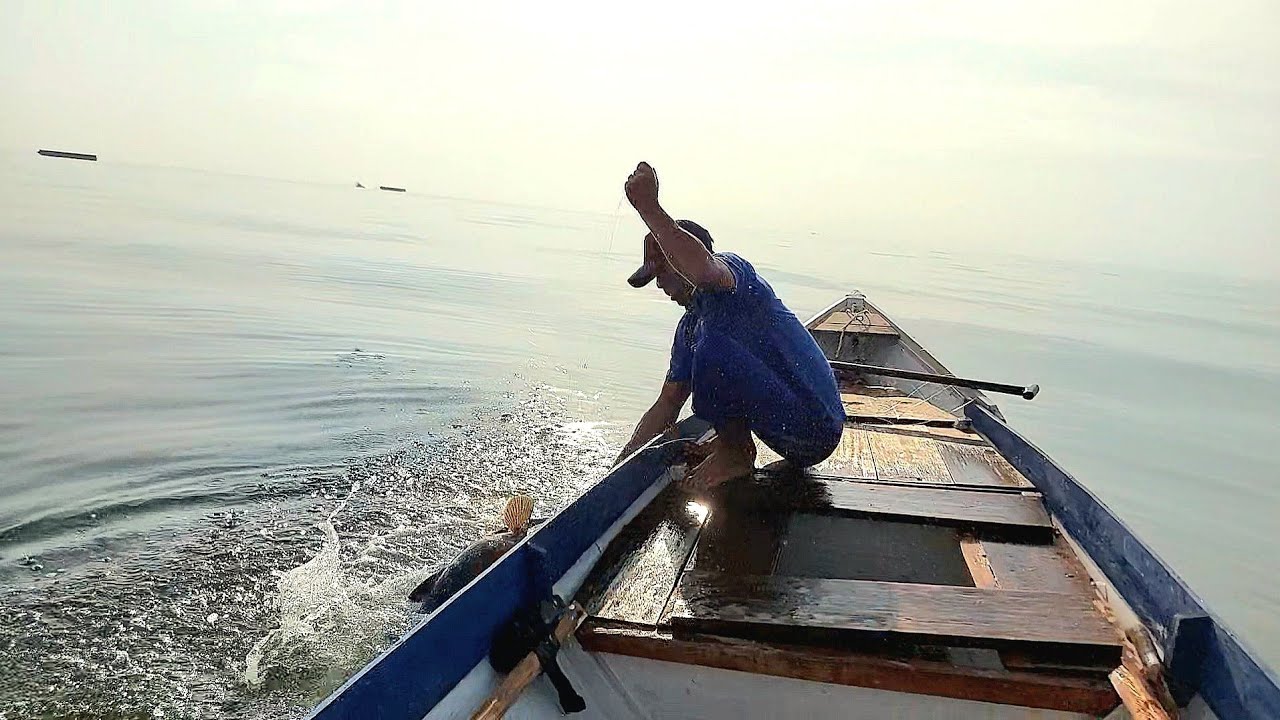 MONSTER DAN BABON BERKUMPUL DISATU TEMPAT MEMBUAT PANCING,DAN SIPEMANCING SANGAT KEWALAHAN...!!!