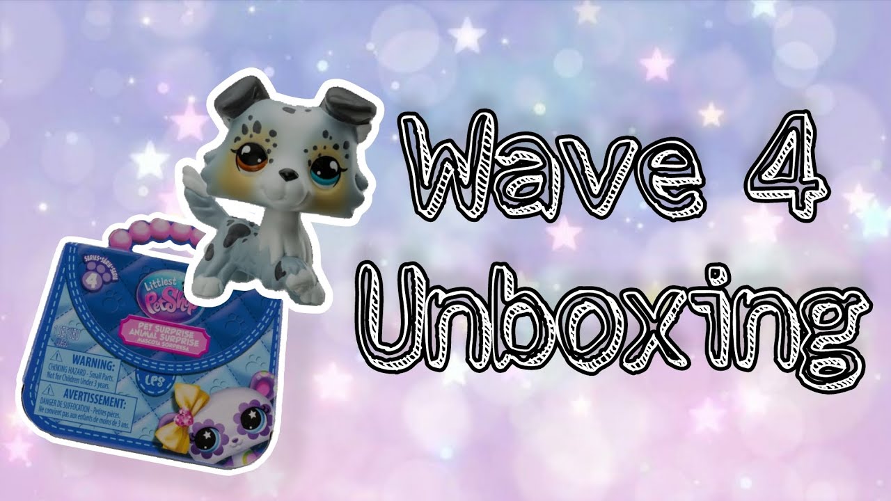 Wave 4 Blind Box and Cottage Picnic Duo Set Unboxing | Lps Sparklez 