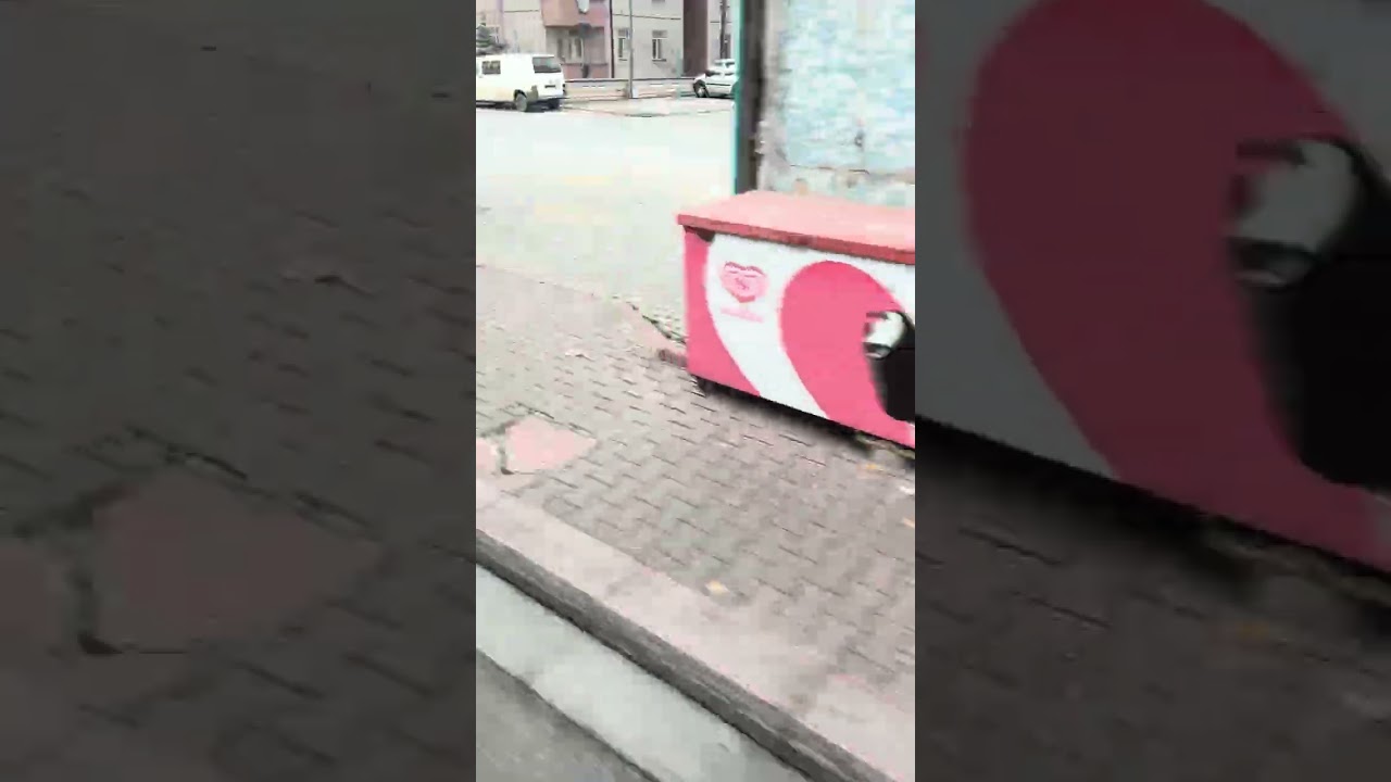 42ecl55 araç no 544