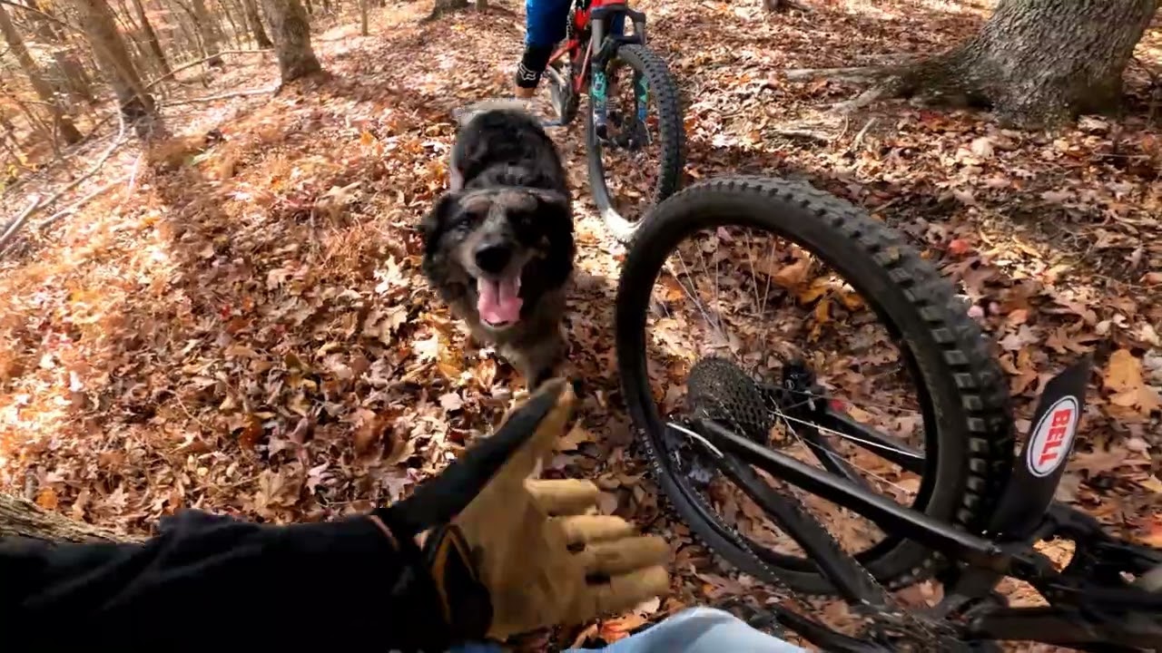 Morning rip with Chris! Afternoon shred with Cody! Brilliant!