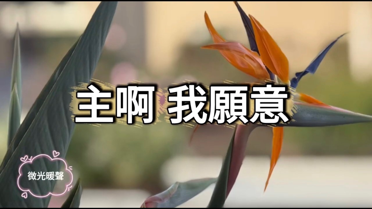 主啊 我願意 @微光暖聲 [Voice of Light]