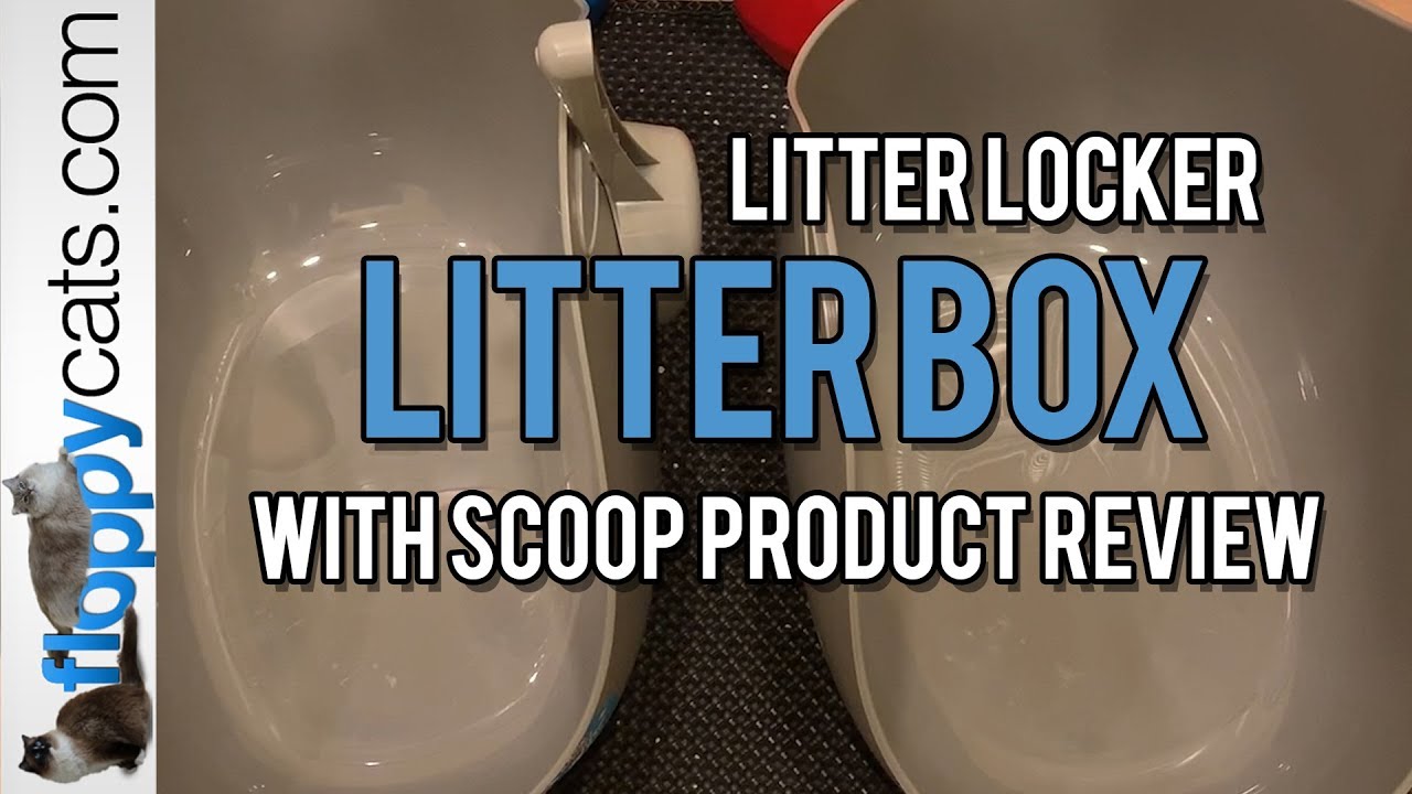 LitterLocker® Litter Box with Scoop Product Review Video - Floppycats