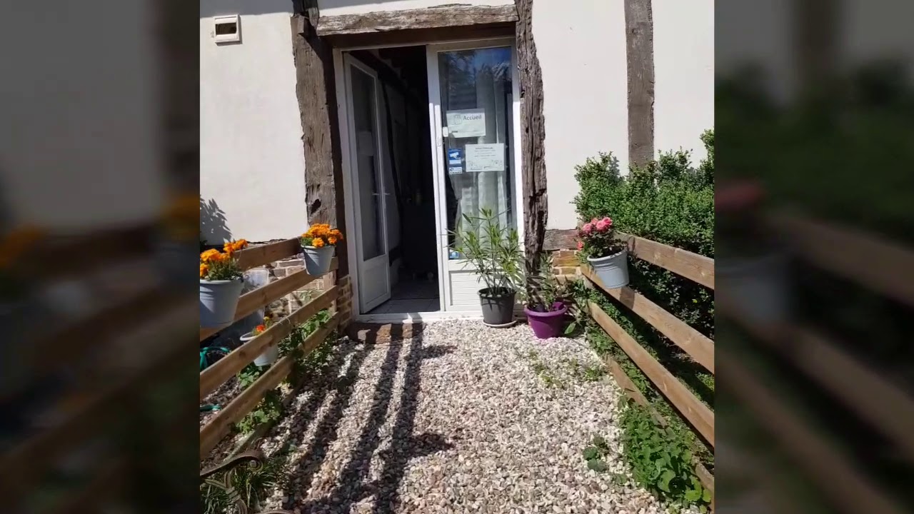 Visite de la pension féline l'étoile du soir à Longchamps (27150)