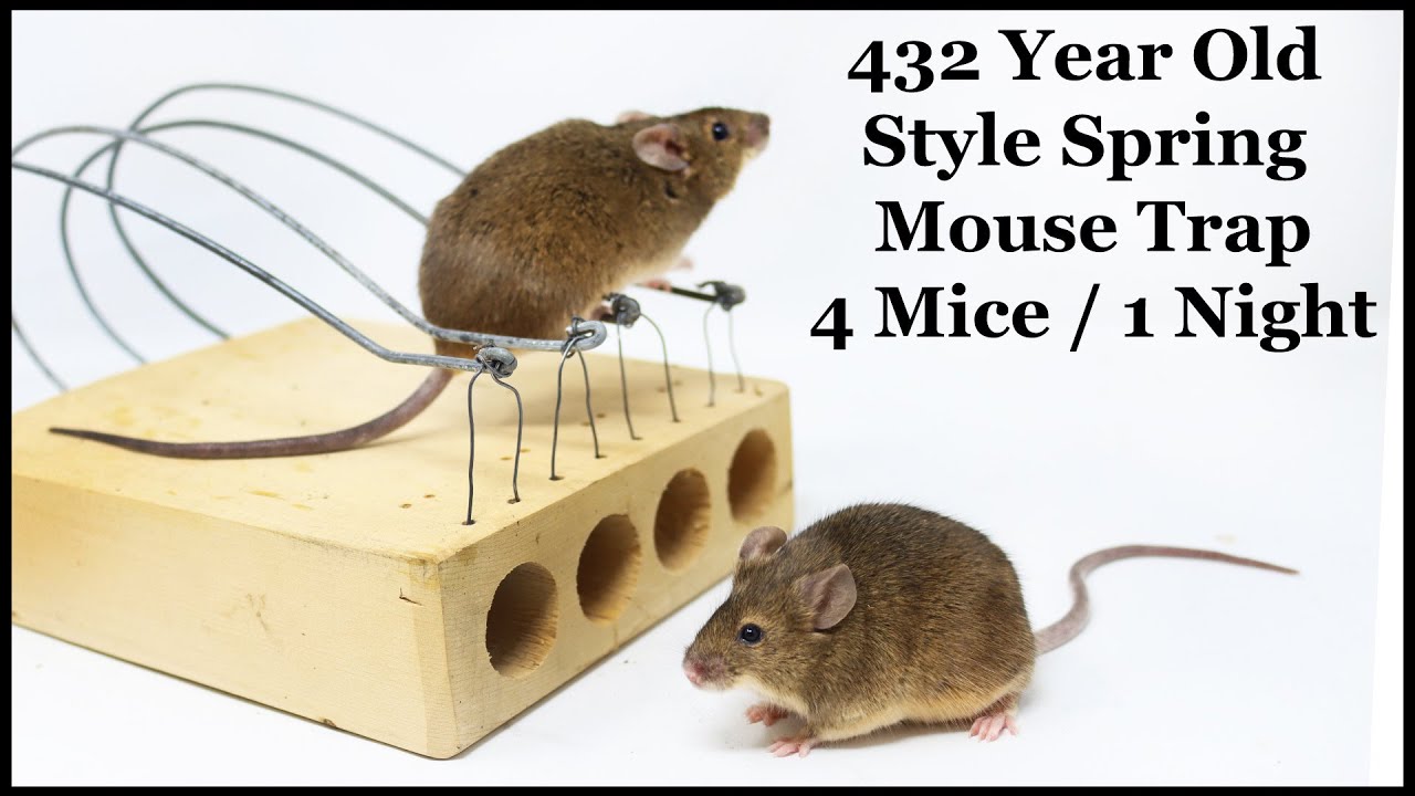 This 432 Year Old Style Spring Mouse Trap Catches 4 Mice /1 Night. One Of The best! Mousetrap Monday