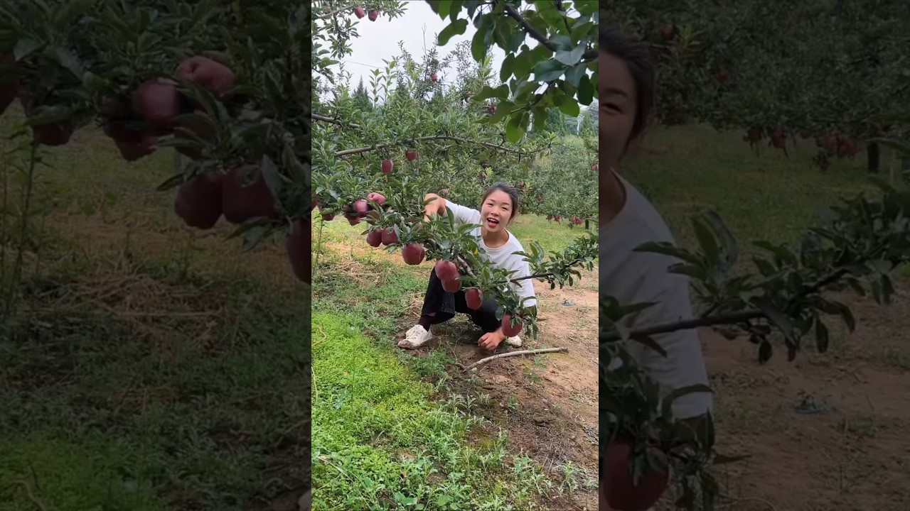 Enjoy Beautiful Nature Life🍎🥝🍊🍓🍉🫐🍒 