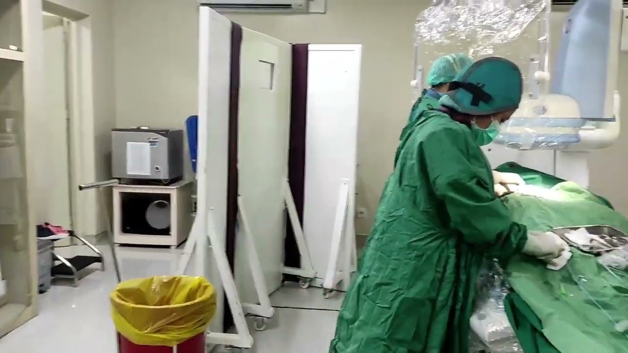 Suasana Tindakan Digital Substraction Angiography (DSA)