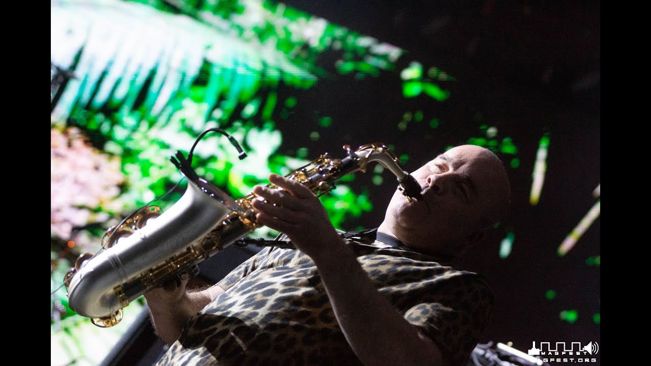 David Wise 5 | MAGFest 2020