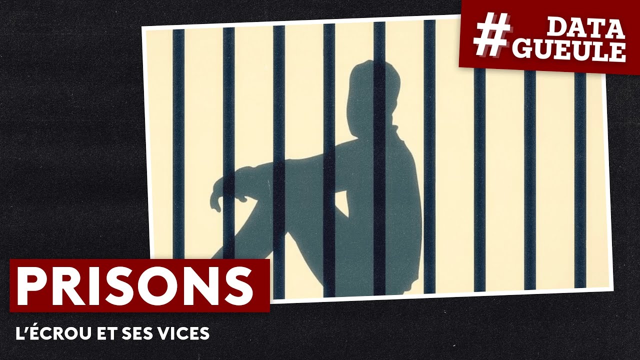 Prisons : l'&eacute;crou et ses vices #DATAGUEULE 61