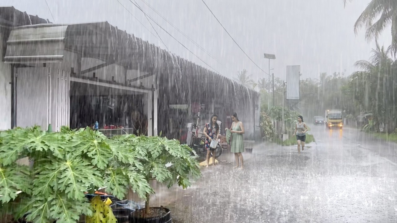 BEST HEAVY RAIN SOUND | BEST RAIN FOR BEDTIME | RAIN AND THUNDER | Soothing Sounds Refreshing
