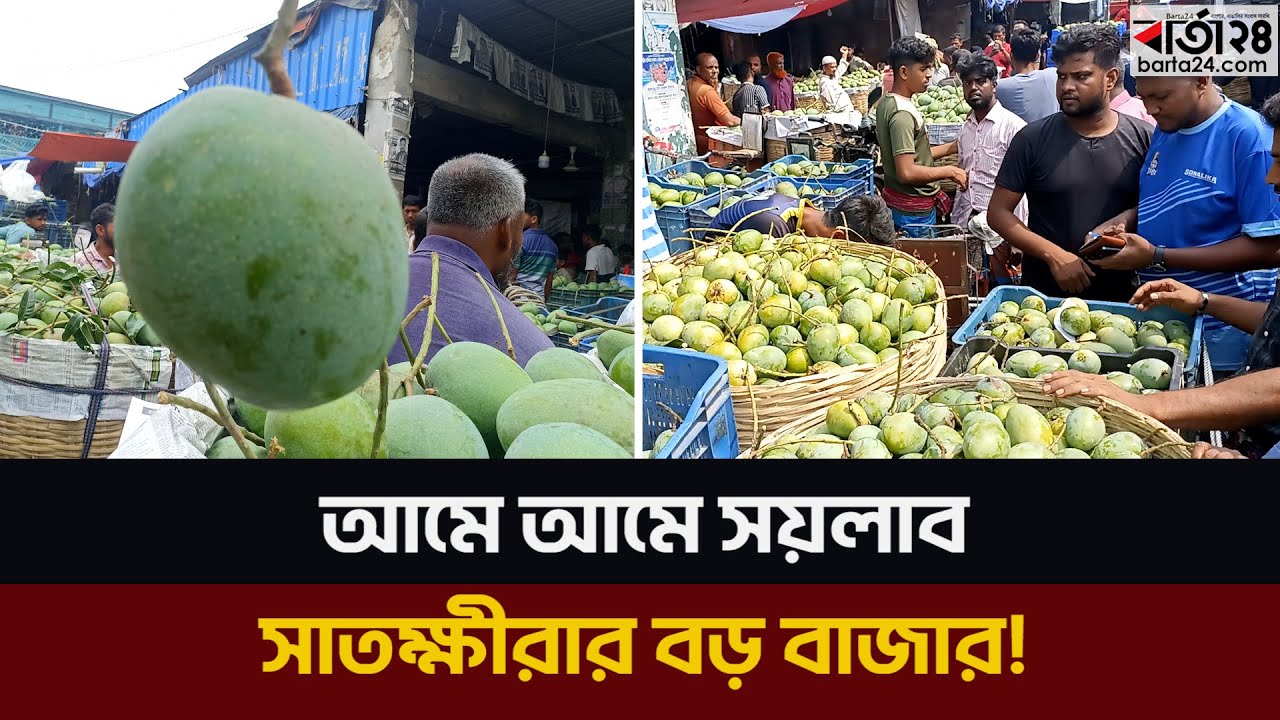 আমে আমে সয়লাব সাতক্ষীরার বড় বাজার | Satkhira Mango | Mango Bazar | Barta24