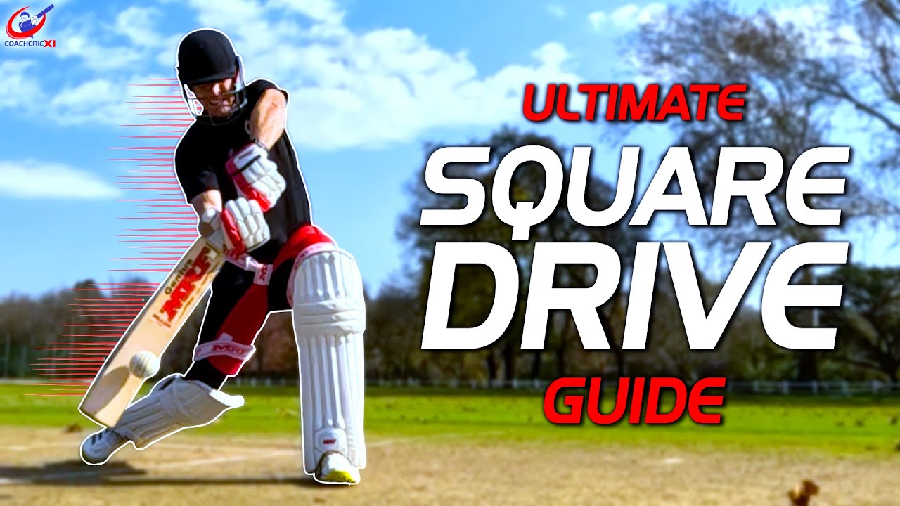 How to play the PERFECT Square Drive in CRICKET