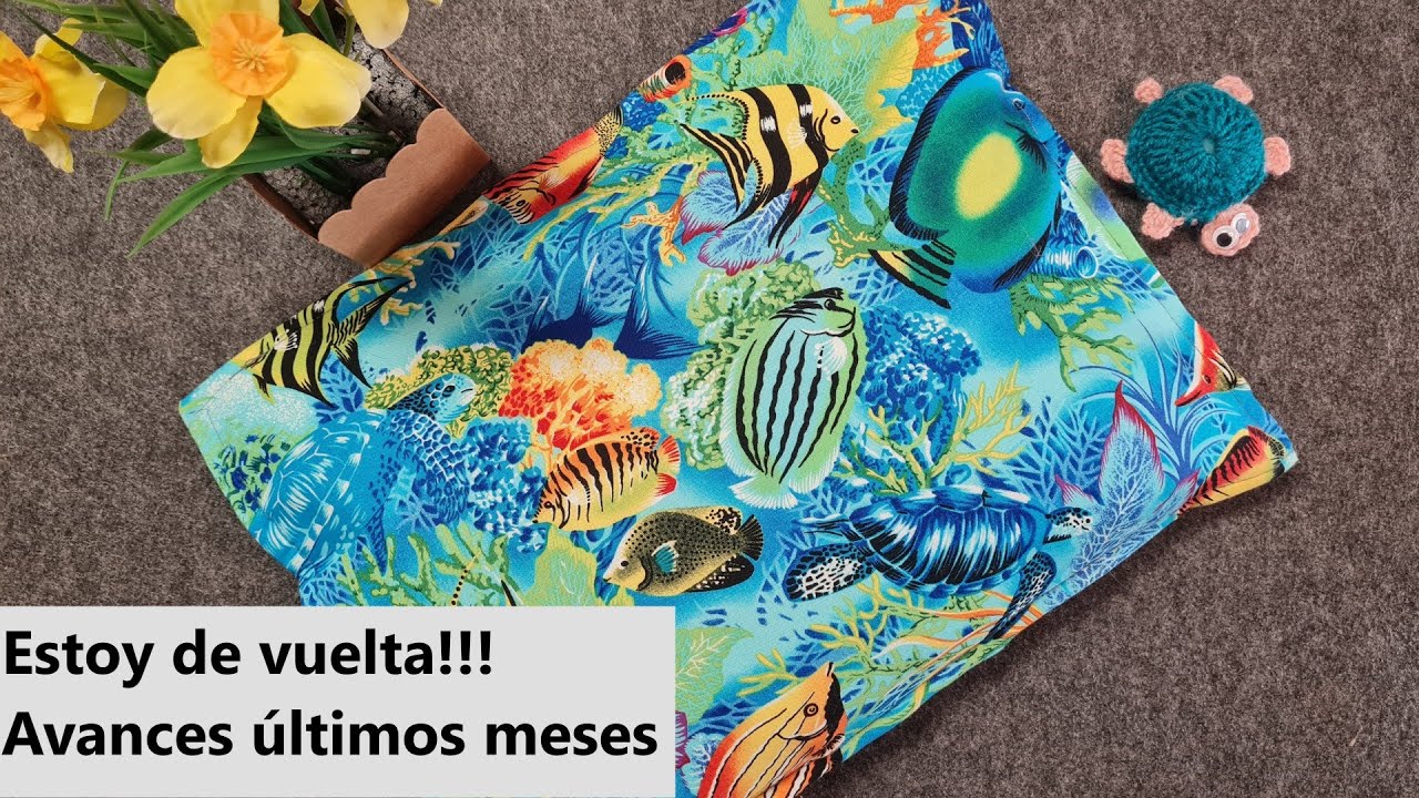 Estoy de vuelta!!! Avances de los últimos meses