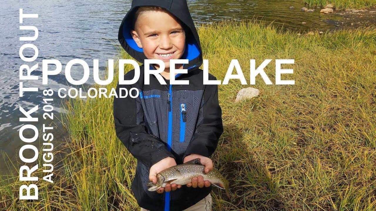 Spawning Brook Trout - Poudre Lake - Continental Divide