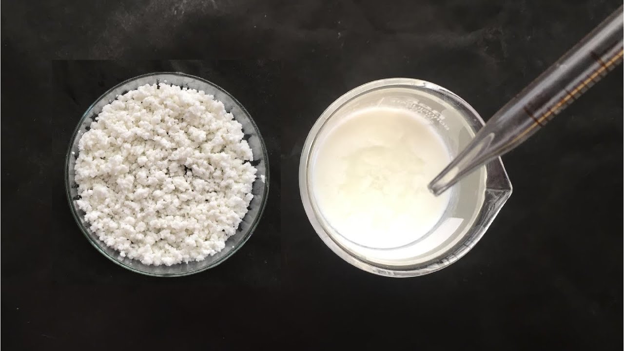 Isolation of Casein Protein from Milk | Casein Protein Isolation| How to Isolate Casein Protein