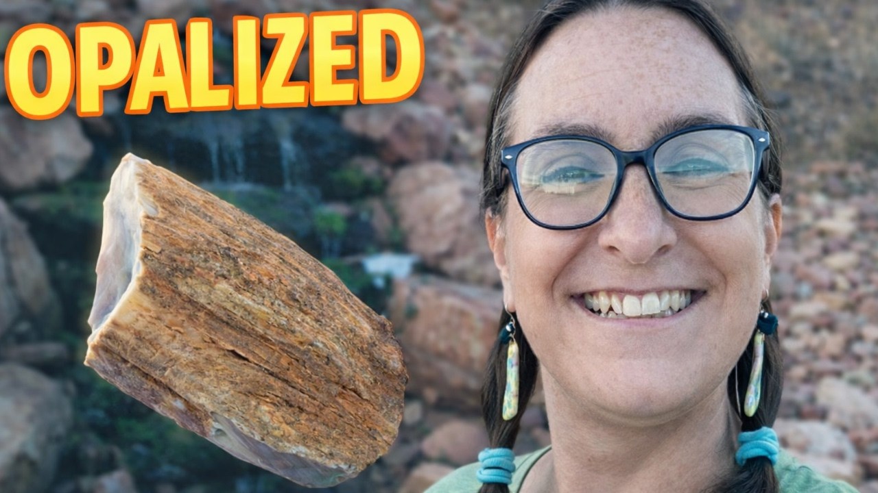 I Found a COMPLETE Round of Opalized Wood! (Yellow Cat Road)