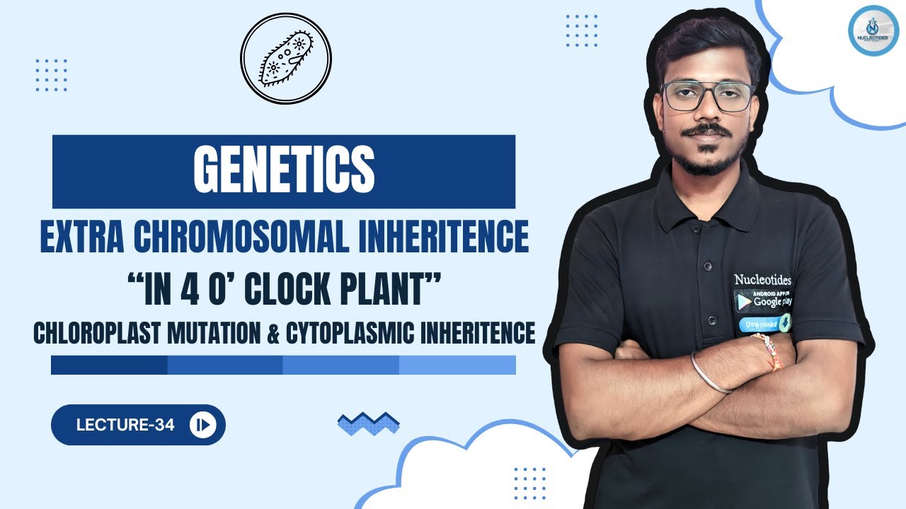 Extra Chromosomal Inheritence in 4 O' Clock Plant || Genetics || +3 3rd Sem || CC 08 || Lec-34