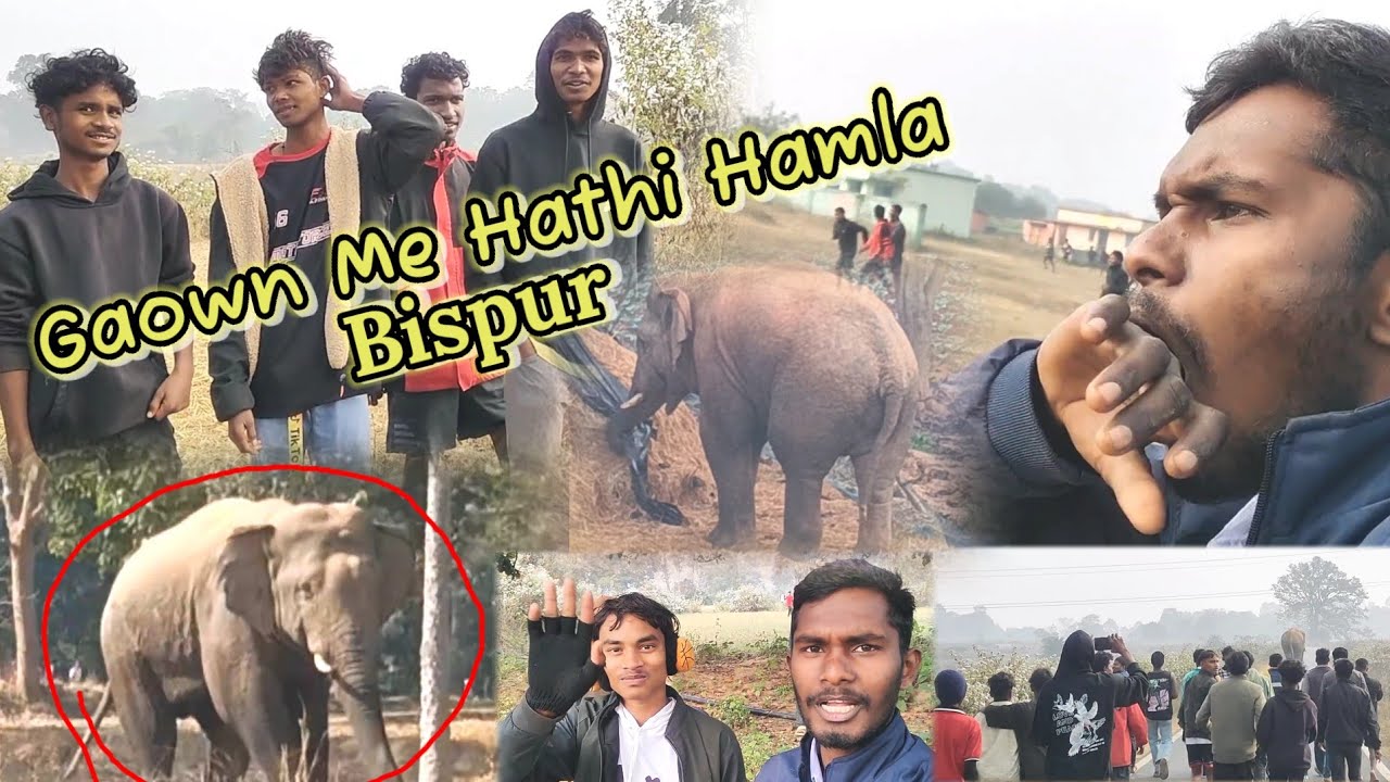 Bispur Gawon Me 🐘 हाथी ने तहलका मचाया // 😱 Hamer Allu Bhaut Bagra Khalak Elephant 🐘 || Village Vlogs
