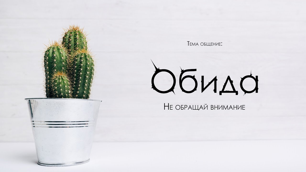 Обида. Не обращай внимания