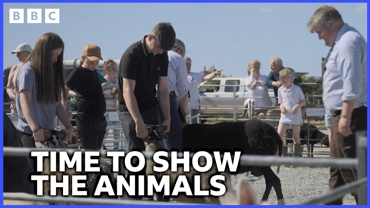 Молодые фермеры принимают участие в сельскохозяйственной выставке The Point Agricultural Show | T...