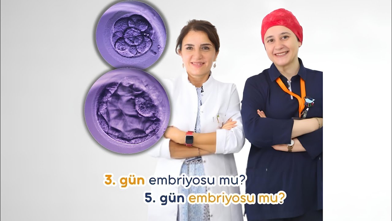 ❓  3. gün embriyosu mu, yoksa 5. gün embriyosu mu  ❓