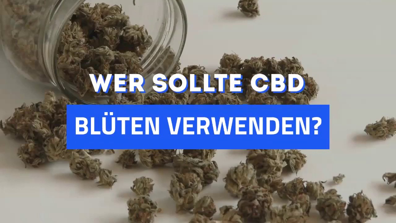 Wer sollte CBD Bl&uuml;ten verwenden?