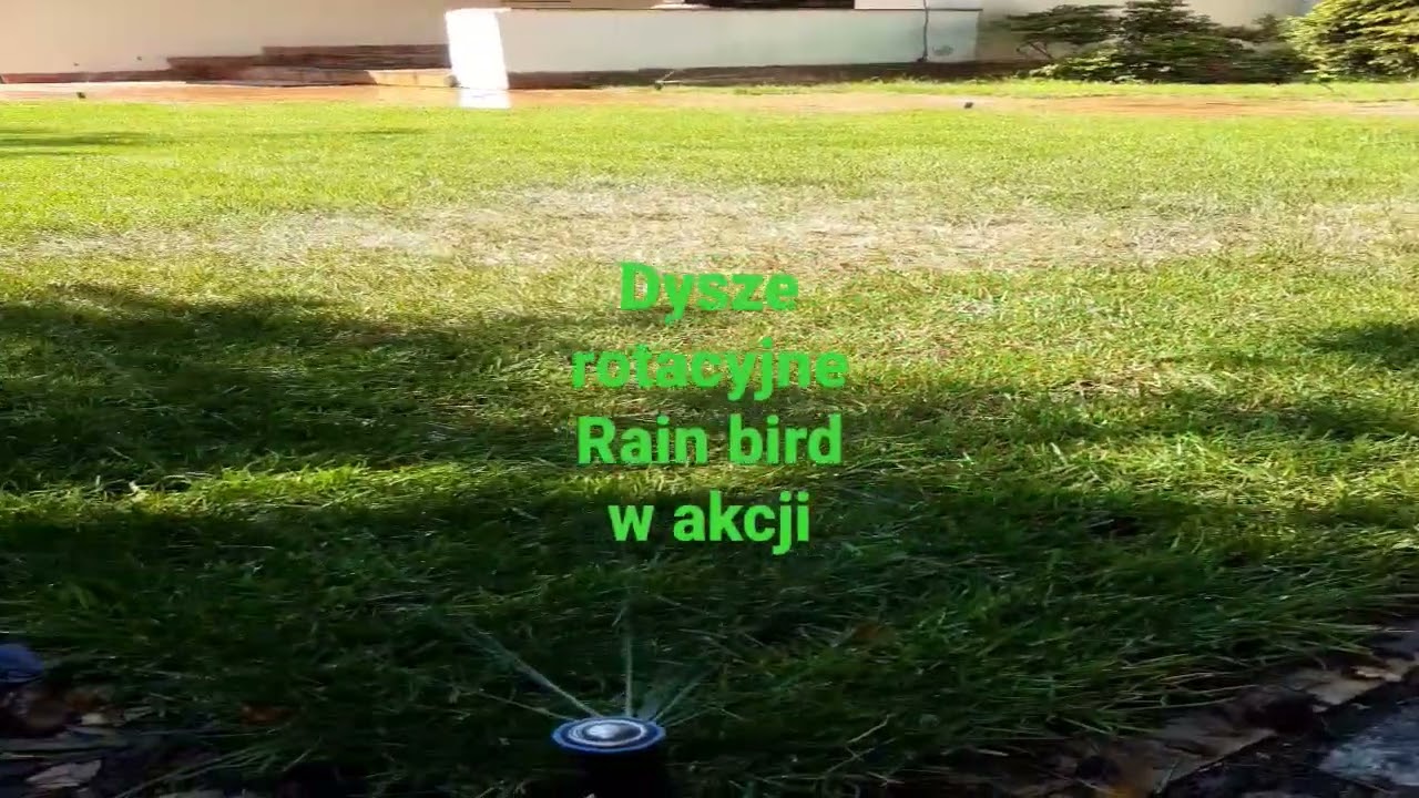 Dysze rotacyjne Rain Bird