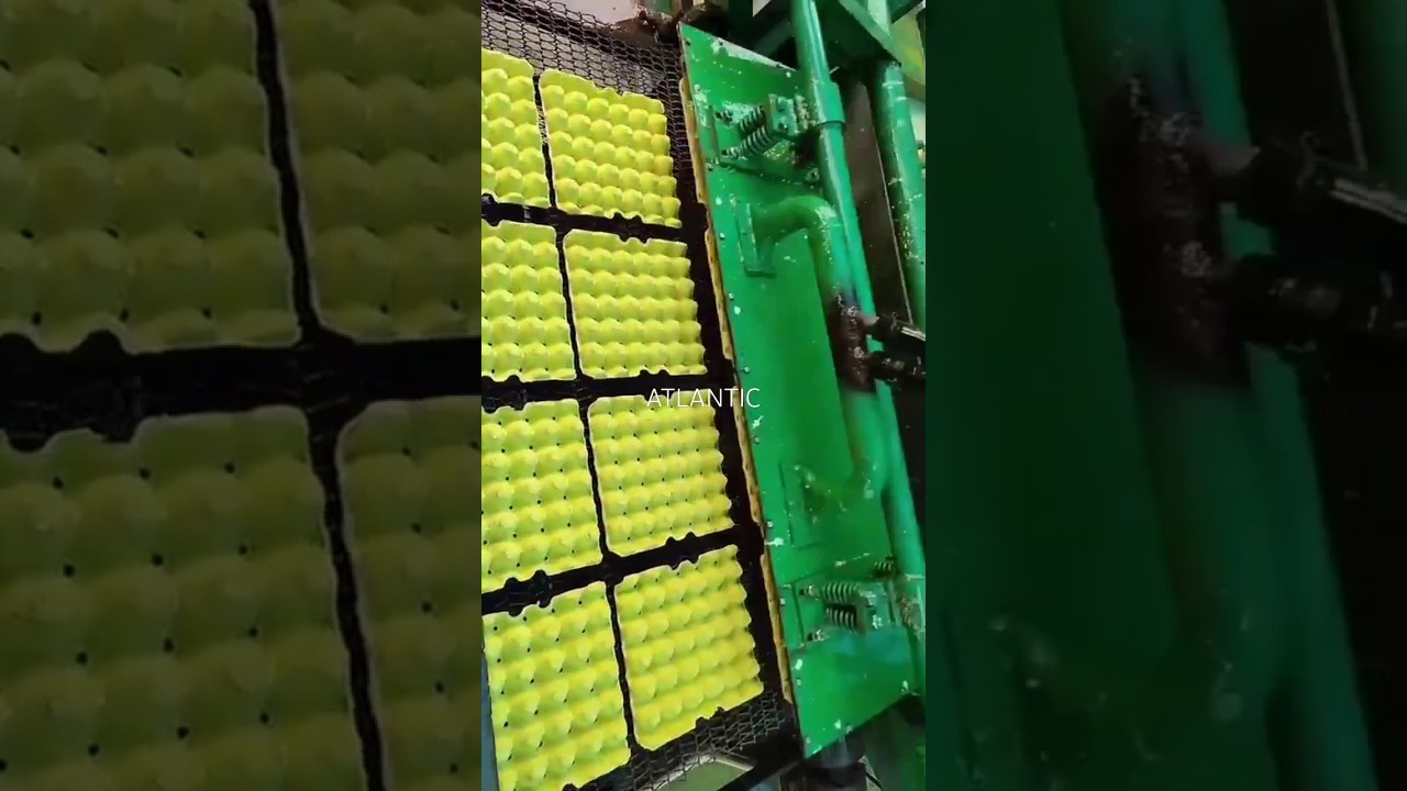 Machine de fabrication de plateaux &agrave; &oelig;ufs en papier recycl&eacute;
