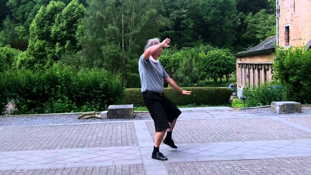 Forme 56 Chen Taijiquan - Eric Caulier