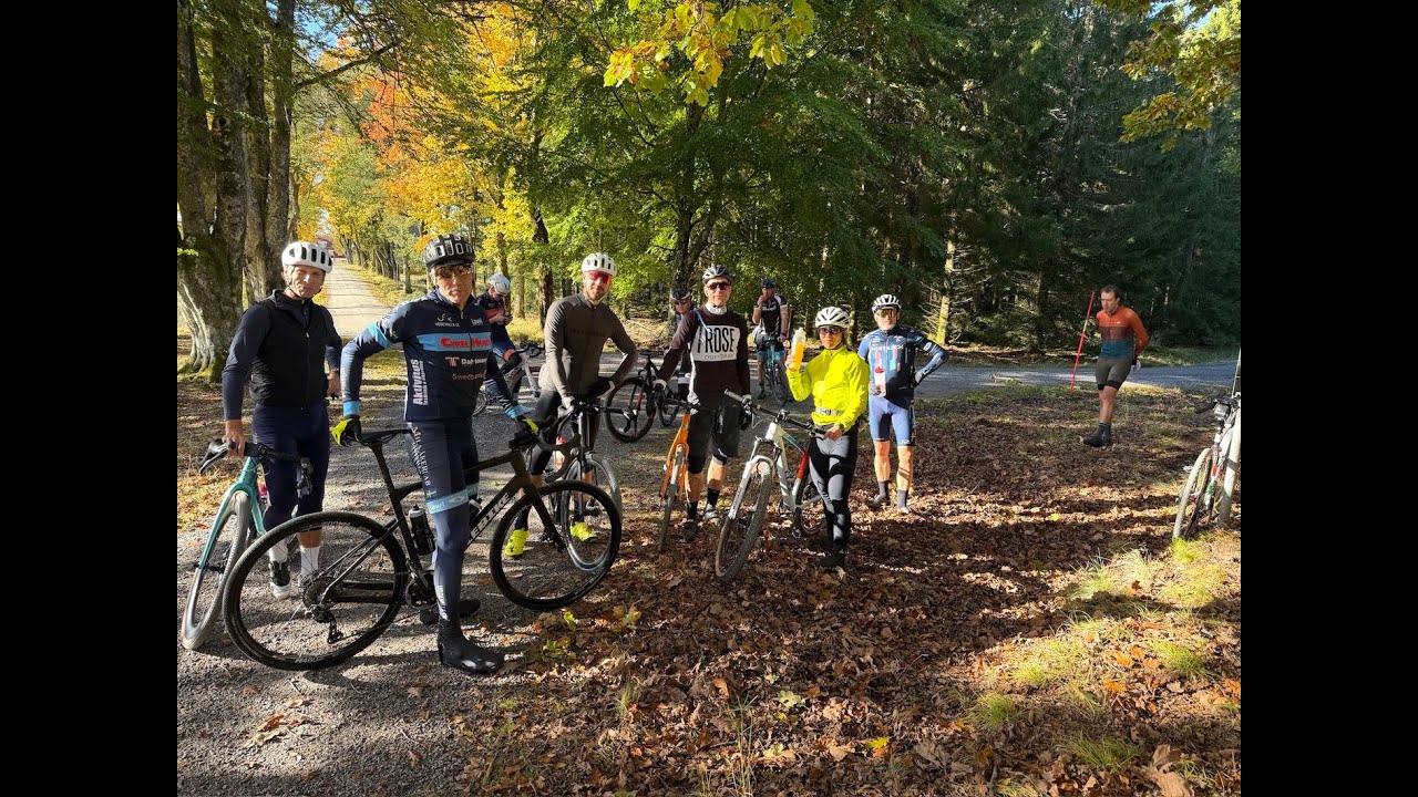 Autumn Gravel 11/10-25