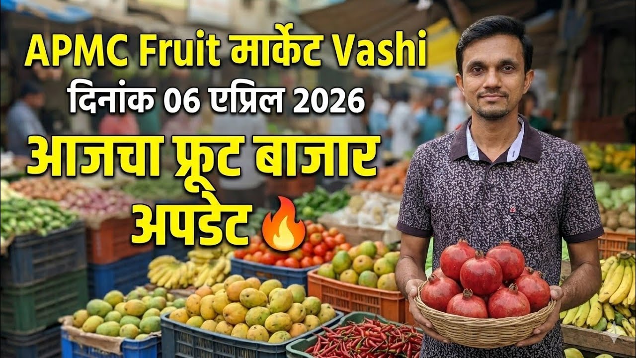 दिनांक 6 एप्रिल 2026 APMC fruit मार्केट 🍇🍎🥭🍍 फळ बाजारात आजची हालचाल🔥#APMC #मार्केट अपडेट 