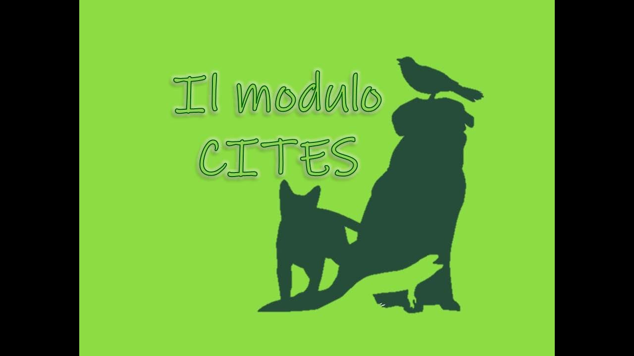 IL CITES