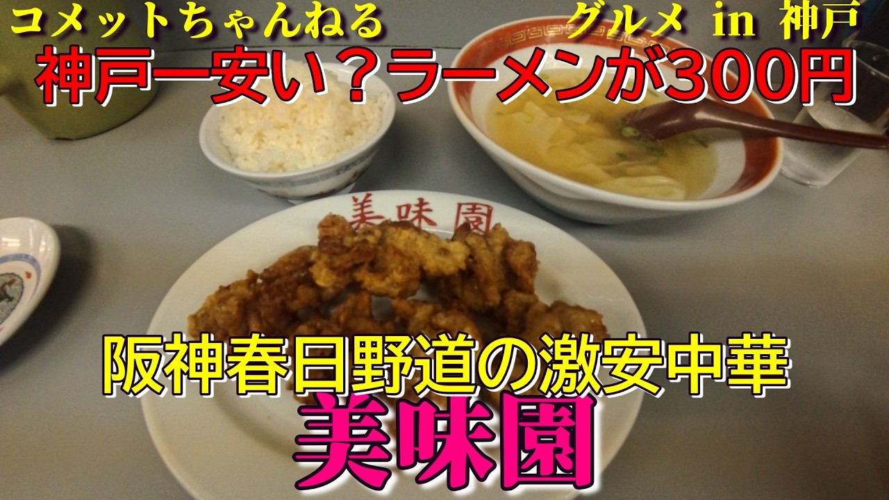 阪神春日野道からさらに南へ、激安町中華『美味園』