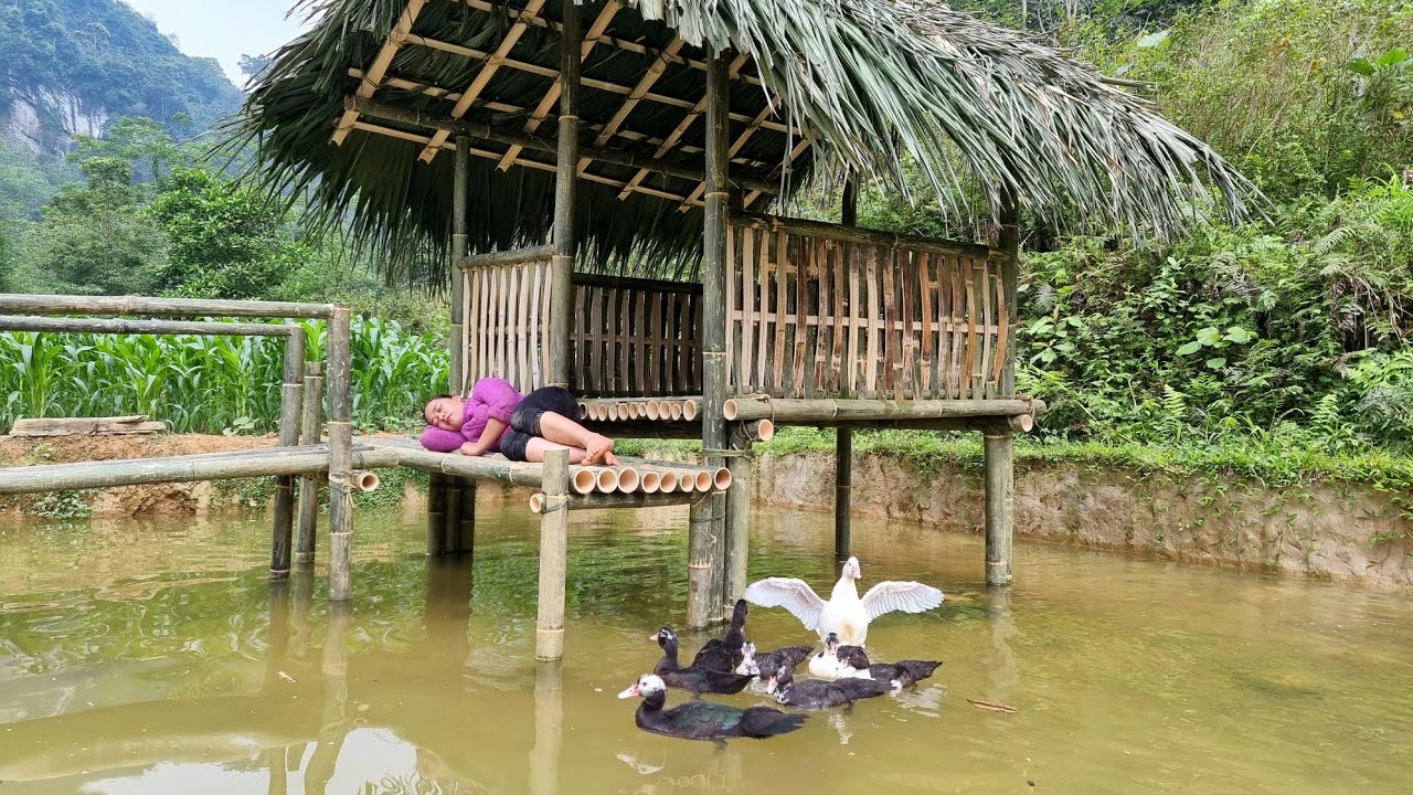 7 Days Building Bamboo House on Water Surface, Make a Bridge & Start To Finish | LTC