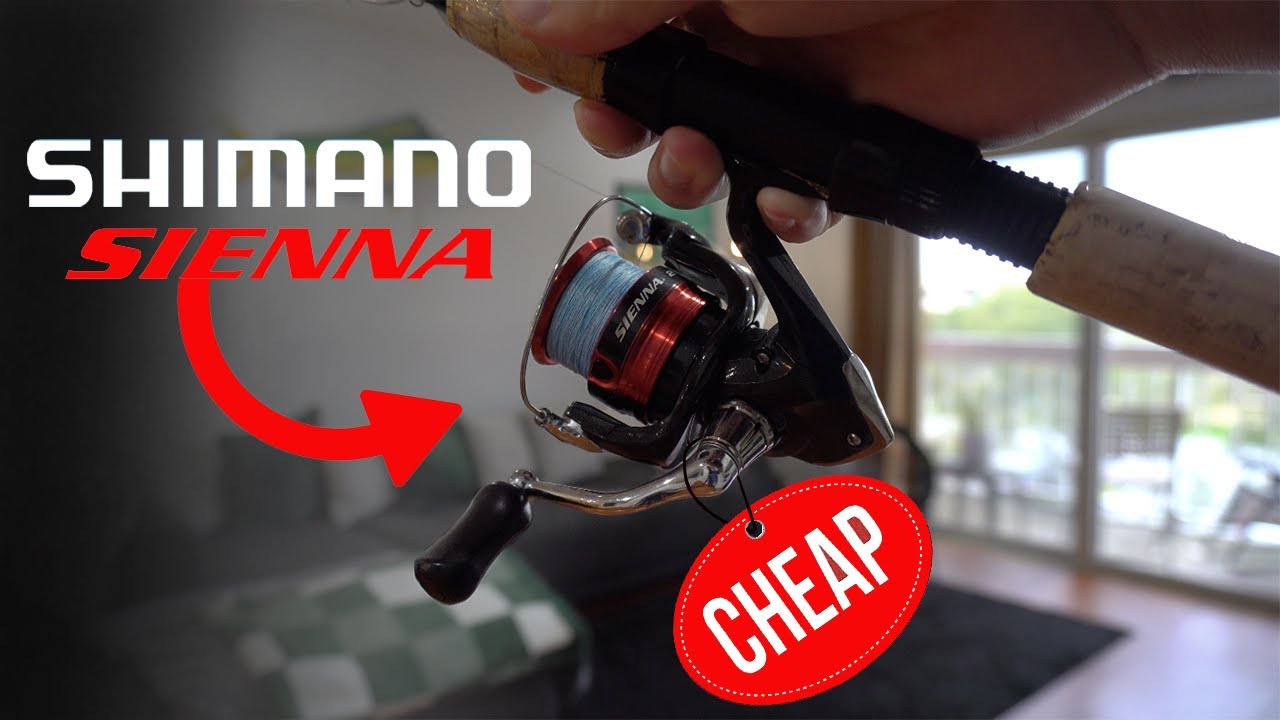 Обзор Shimano Sienna 2500HG (лучшая недорогая рыболовная катушка)
