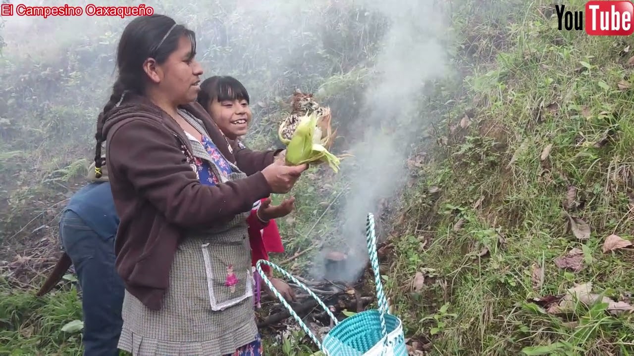😃😃 Cocinando rico HUITLACOCHE en el campo, es una delicia de comida. 😋 👌