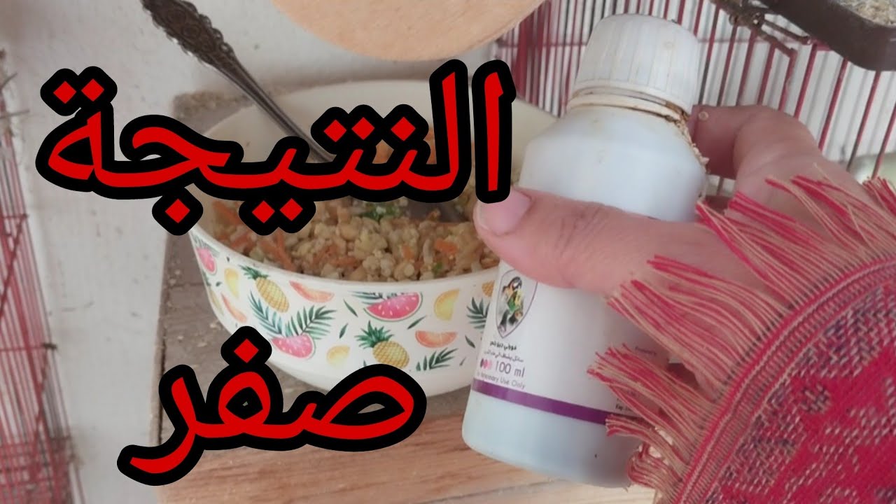 مكون بسيط بيعالج ضعف الخصوبة للذكر والنتاية لطيور الزينة 👌