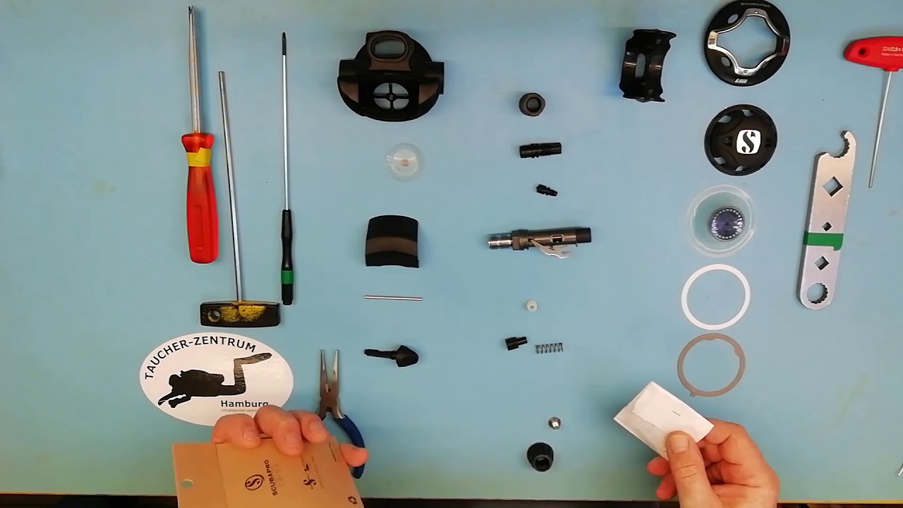 Leni Will's Wissen #3 Revision Zweite Stufe