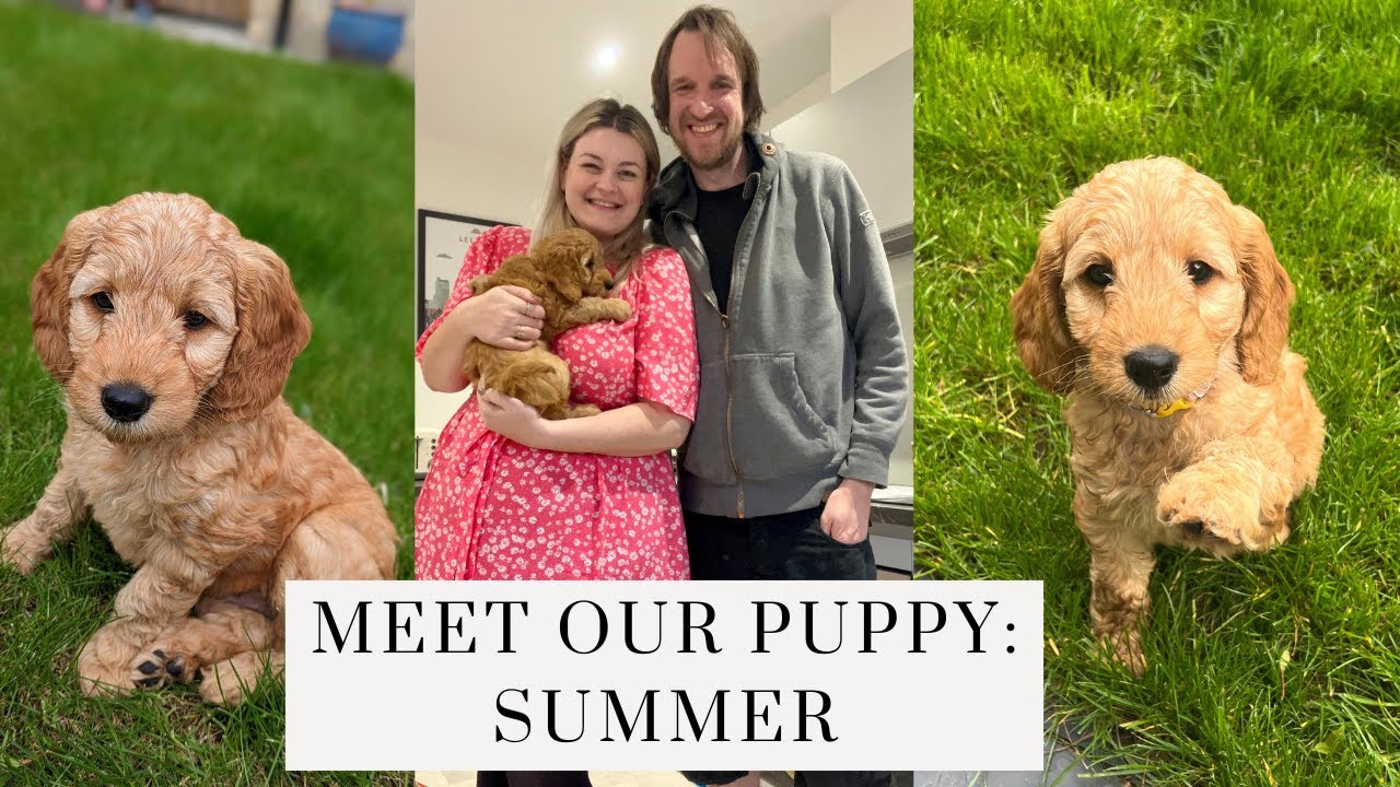 MEET SUMMER! Picking Up Our New Puppy | Trina-Louise