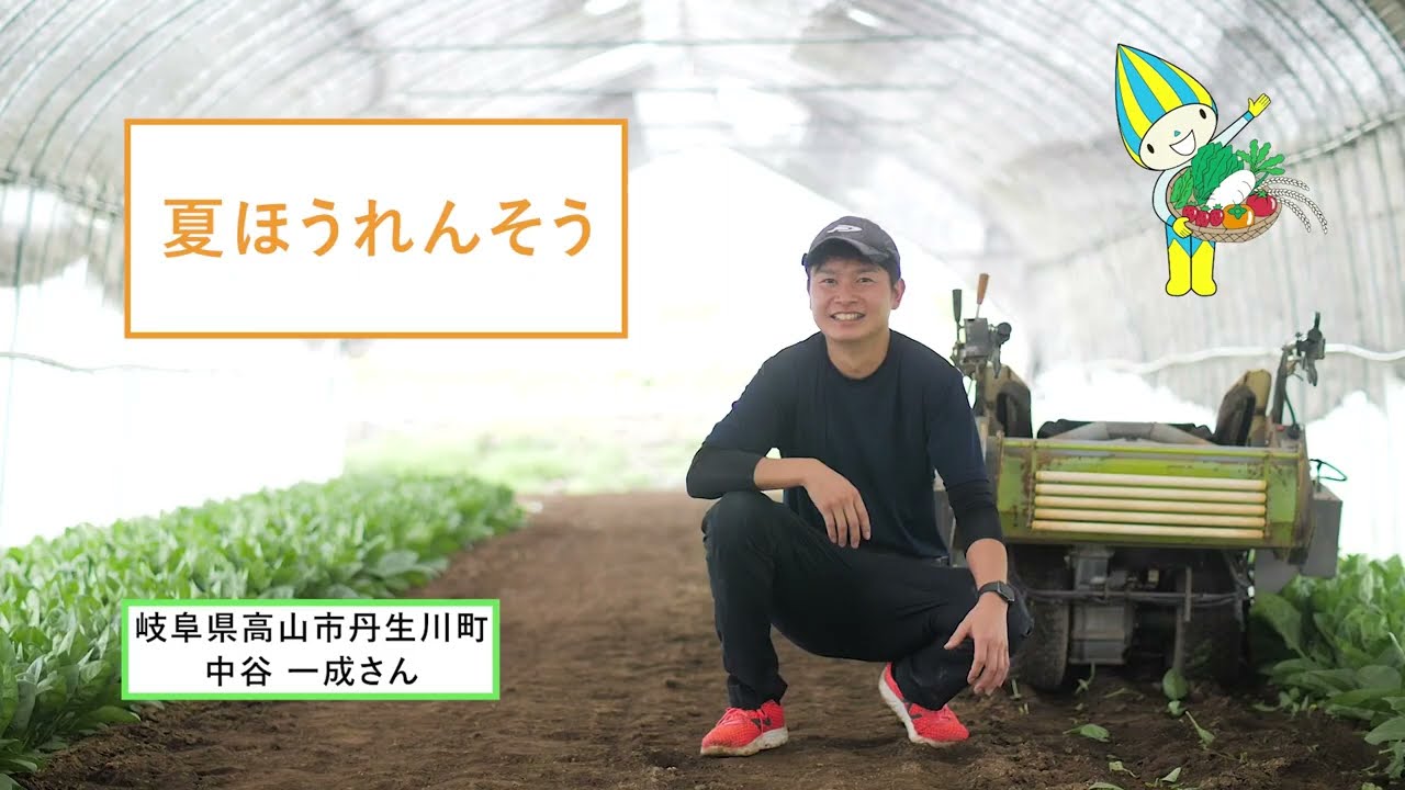 ほうれんそう（高山市）年間の農作業の流れを学ぶ