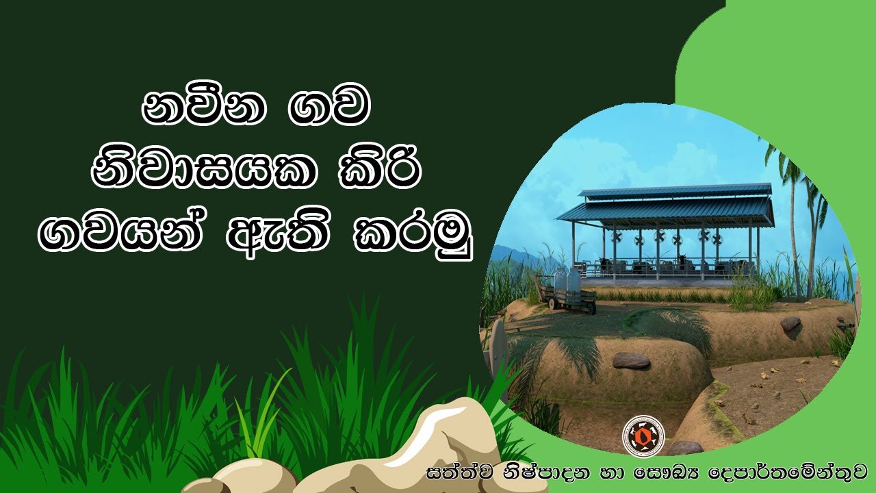 නවීන ගව නිවාසයක ගවයන් ඇති කරමු