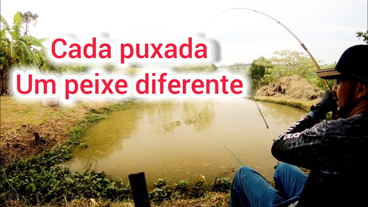 pescaria  de muita ação  cada  puxada um peixe diferente