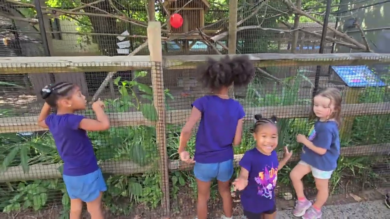 PSPTV 'ZOO MONKEY POO' WHAT A FIELD DAY
