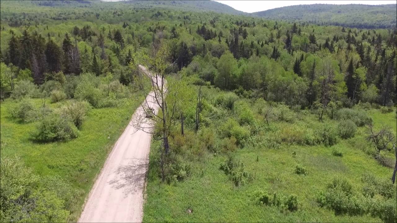 Overlanding through Green Mountain National Forest