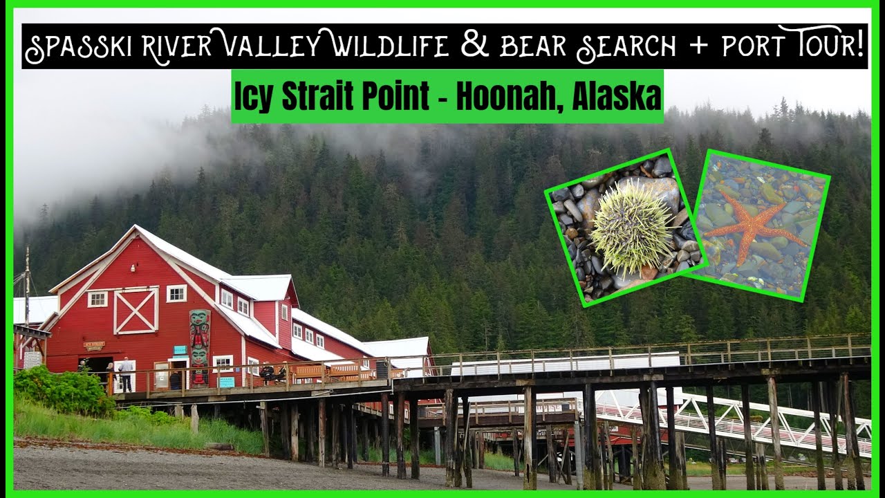 Spasski River Valley Wildlife & Bear Tour & Port Tour | Icy Strait Point, Hoonah, Alaska | Celebrity