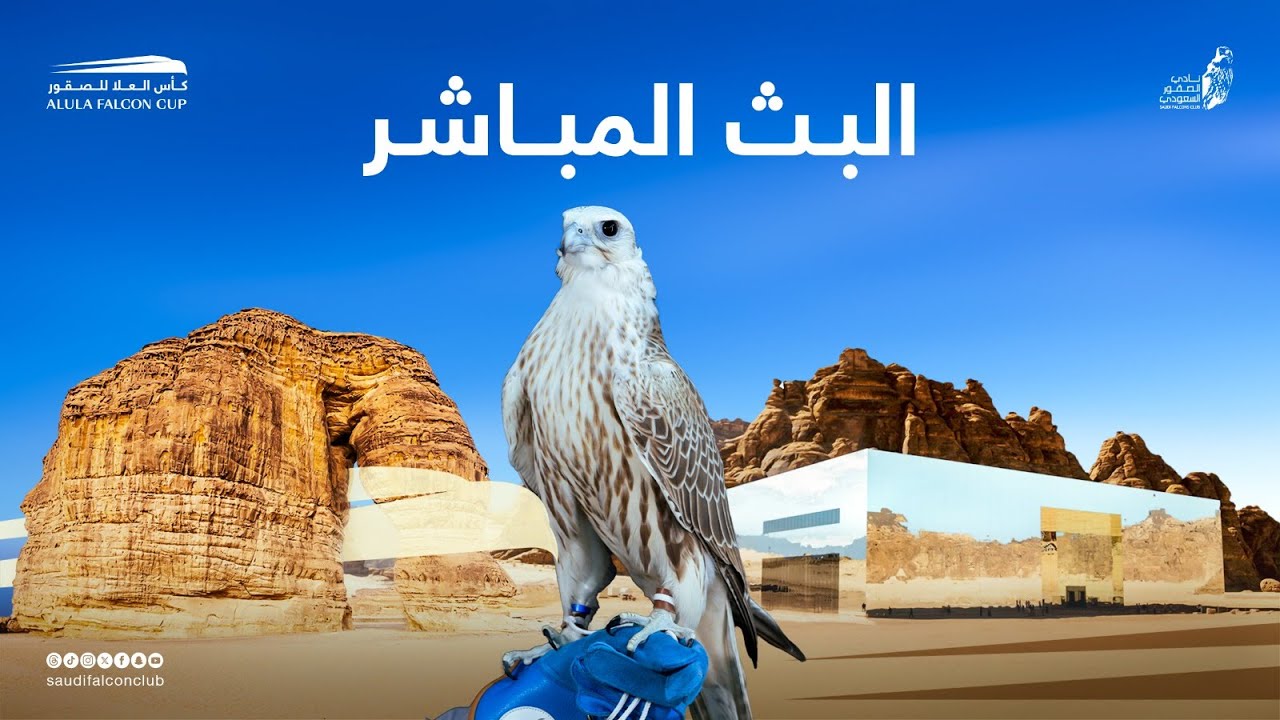 بث مباشر | منافسات اليوم الثاني لـ #كأس_العلا_للصقور #نادي_الصقور_السعودي
