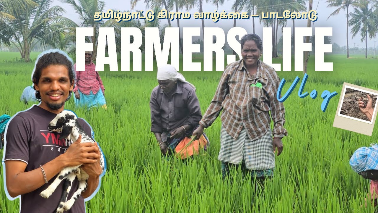 Farmers life தமிழ்நாட்டு கிராம வாழ்க்கை — பாடலோடு Vlog