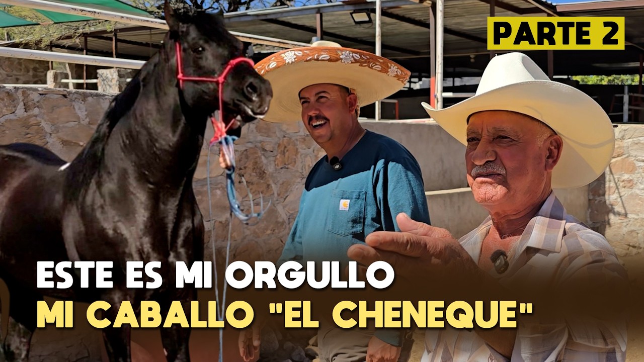 ESTE ES MI CABALLO DE 22 AÑOS, ES COMO MI HIJO y TIENE DOS CORRIDOS
