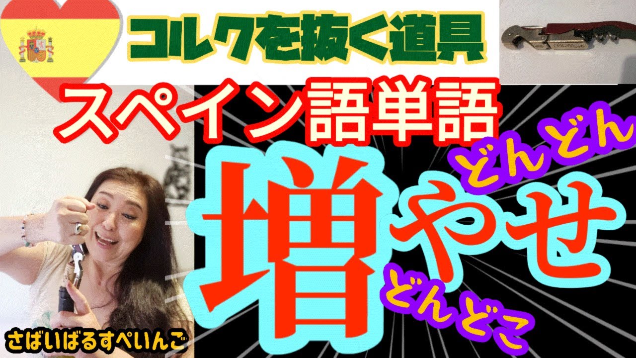 【スペイン語学習】コツをつかめば自然と増える単語力！柔軟に！
